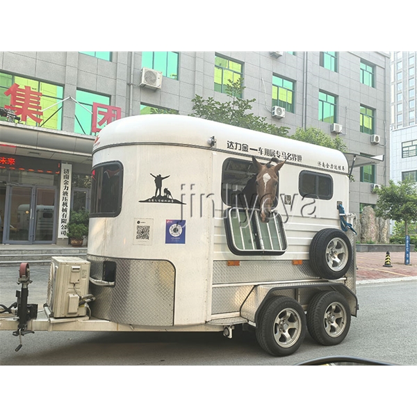 青岛运马车